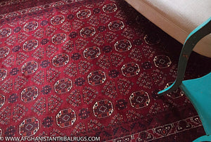 Kunduz Afghan Rug designed by Waziri 