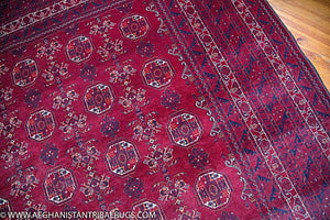 Kunduz Afghan Rug designed by Waziri 