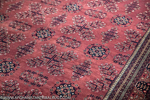 Khal Mohammadi Afghan Rug