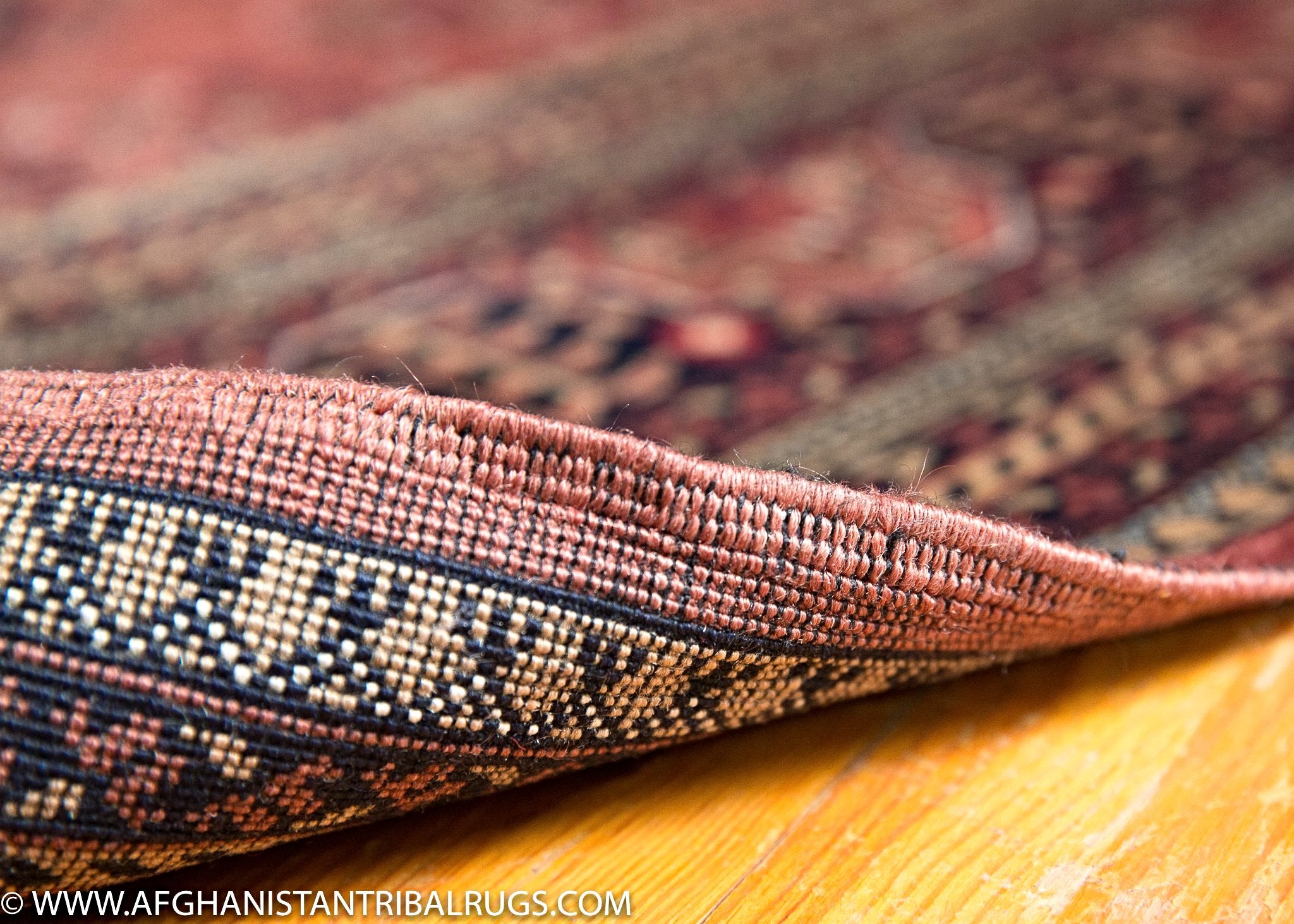 Khal_Mohammadi_Rose_Geo_20-